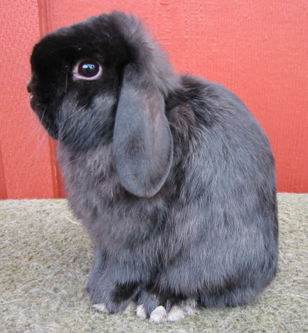 tinytimat6months.jpg